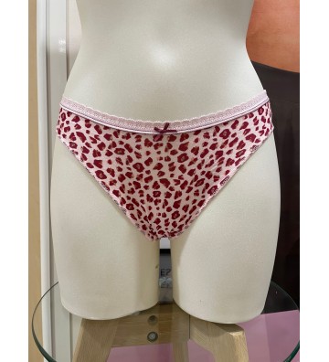 CULOTTES LES COQUETTES...